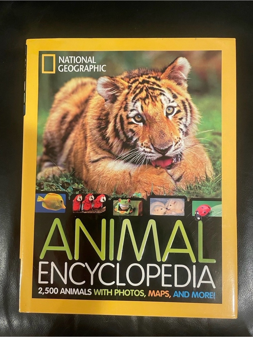 National Geographic Kids Book Set